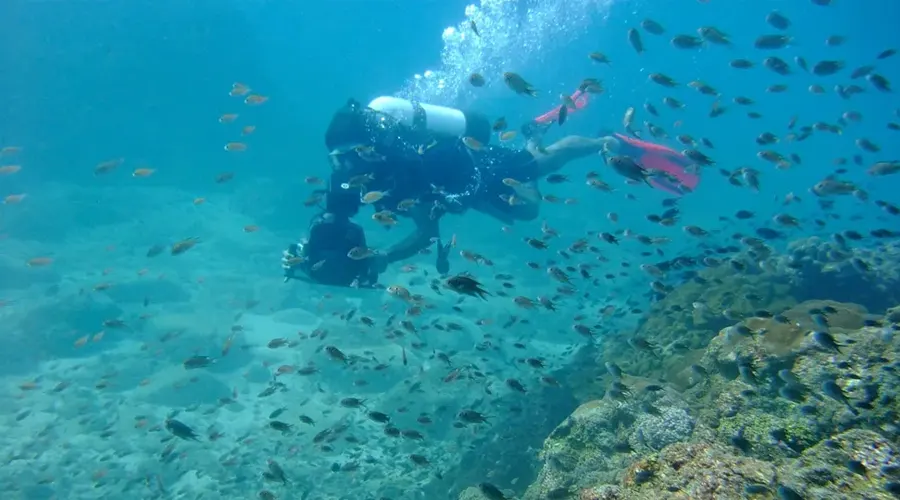 Scuba Diving At Grande Island, Goa